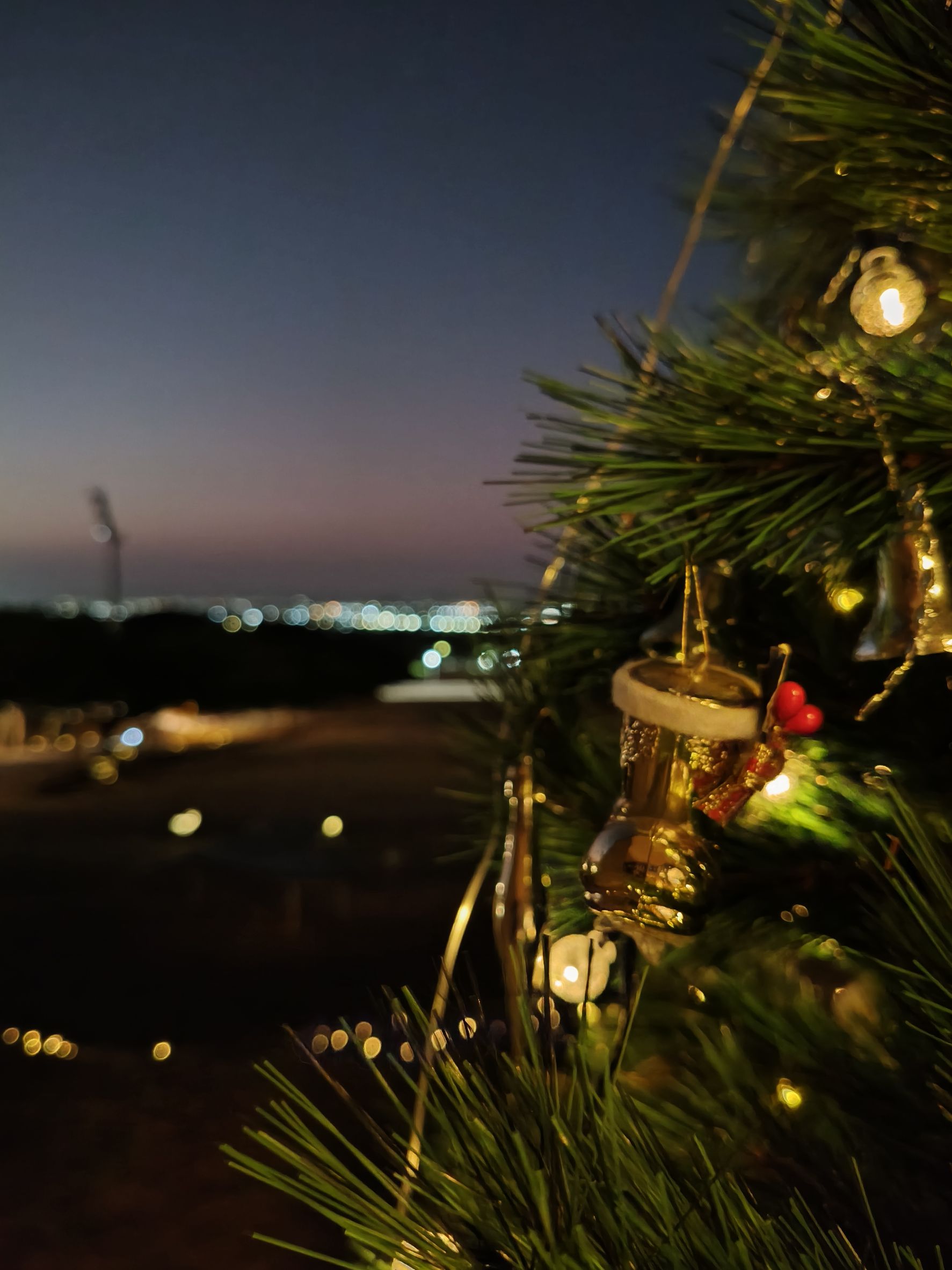 羽光之丘－聖誕樹